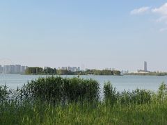 -长广溪湿地公园