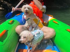 -安吉龙王山峡谷漂流