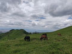 -灵山
