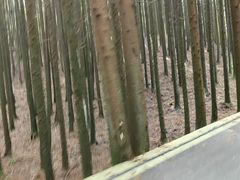 -山王坪喀斯特国家生态公园