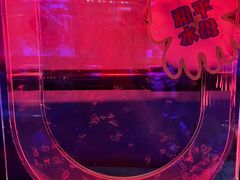 -上海海昌海洋公园