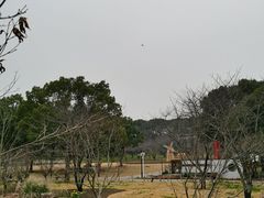 -苏州上方山国家森林公园