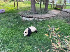 -西安秦岭野生动物园