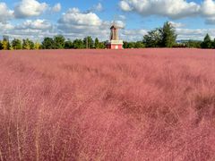 -羊亭河湿地公园