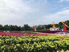-松山湖梦幻百花洲