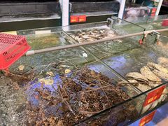 -大茄来海鲜餐厅(亚洲城分行)