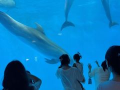 -海合安成都极地海洋公园