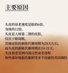 -Bollins波林丝•专研护发中心