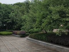 -大渡口区义渡公园