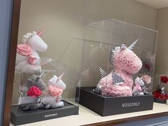 -ROSEONLY诺誓(磐基中心店)