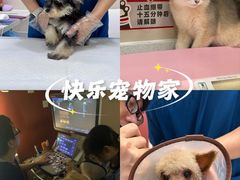 -御宝贝24h宠物医院·转诊中心·CT核磁血透中心(厦门总院)