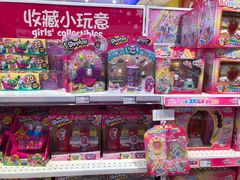 -TOYSRUS玩具反斗城(深圳布吉万象汇店)