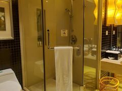 -惠州康帝国际酒店