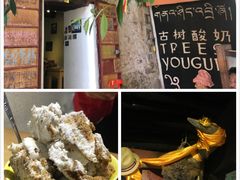 -古树酸奶(八廓南街店)