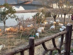 -十九峰景区