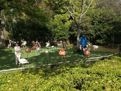 -少林寺欢喜地素斋馆