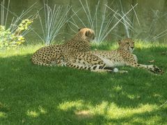 -北京野生动物园