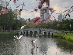 -四海公园(南山区)