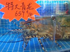 -驻海渔市(置信店)