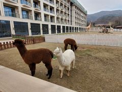 -南京汤山紫清湖生态旅游温泉度假区