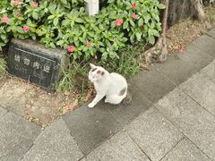 -荔湾湖公园