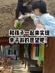-麦粒鸟亲子游