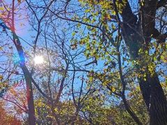 -玉渡山自然风景区