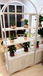 -摩瘦纤体订制减肥