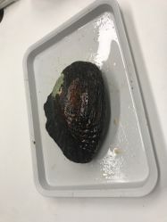 -邵老师打金·黄金加工(大望路总店)