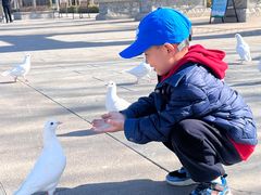 -天津妈祖文化园