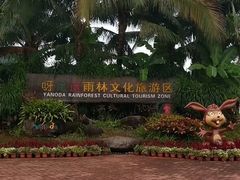 -呀诺达热带雨林