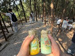 -云龙山