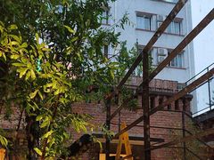 -羊门客在·烤盐池滩羊·川菜