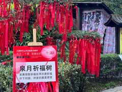 -明月山天沐温泉度假村