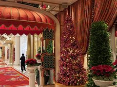 -咖啡苑 - 蔚藍夏日限定主题(永利皇宫店)