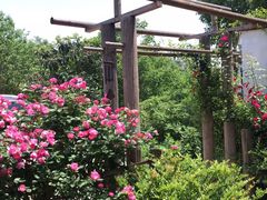 -花间酒庭院餐厅(谷山店)