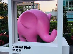 -台北101