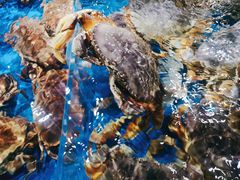 -盒马鲜生(馥邦国际店)