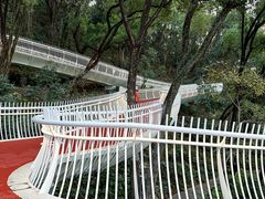 -金鸡山公园