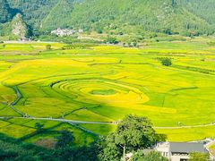 -万峰林风景区