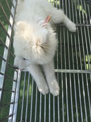 -萌宠亲子动物乐园(槐房万达店)