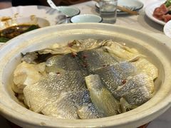 砂锅焗黄花鱼-1937青岛老味道·海肠捞饭·青岛菜(大鲍岛栈桥店)