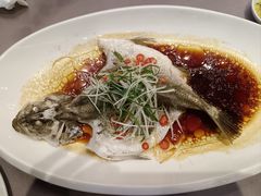 -东方御宴海鲜酒楼(棕泉酒店)