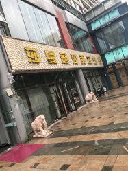 -莎蔓莉莎美容会所