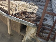 -大连森林动物园