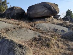 -白水寺森林公园