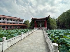 -皇罗禅寺