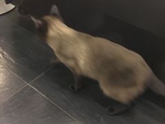 -吱咖啡西式简餐