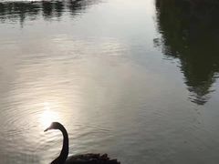 -艾溪湖湿地公园