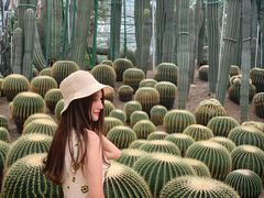 -南山植物园